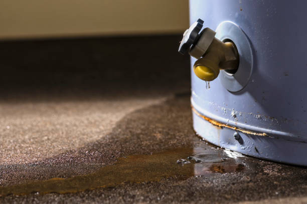Best Water damage restoration experts  in Clarcona, FL
