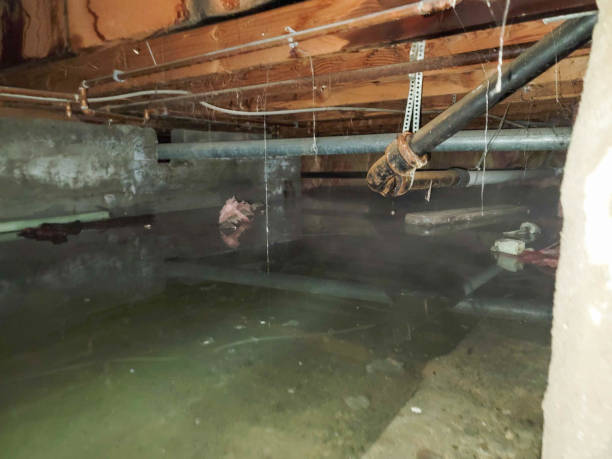  Clarcona, FL Water damage restoration Pros