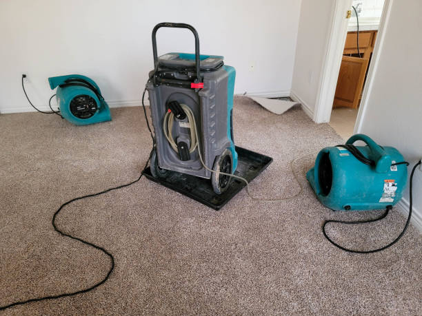 Best Water damage cleanup near me  in Clarcona, FL