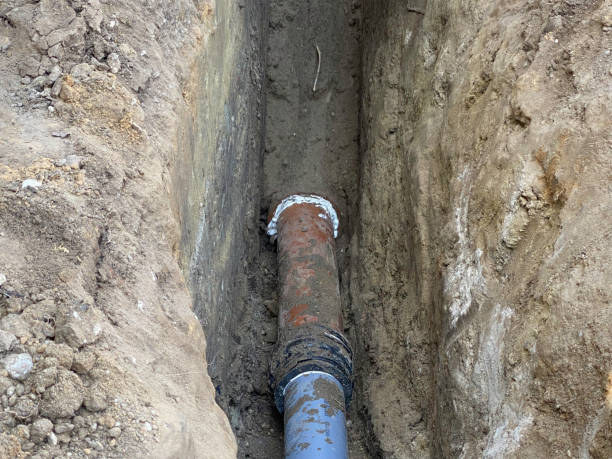 Best Sewage cleanup and water damage restoration  in Clarcona, FL