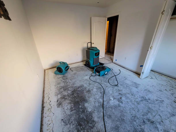 Best Water damage restoration experts  in Clarcona, FL