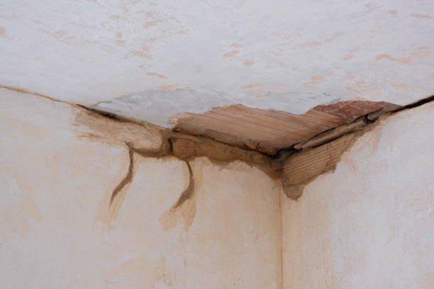 Best Ceiling water damage repair  in Clarcona, FL