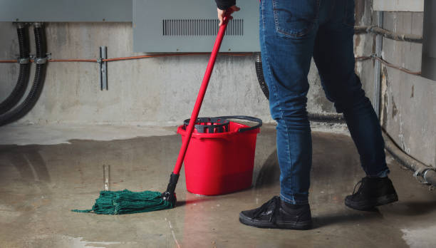 Best Basement water damage restoration  in Clarcona, FL