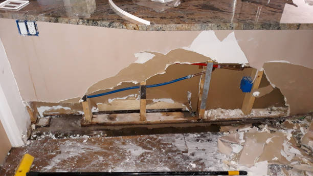 Best Flood damage cleanup  in Clarcona, FL