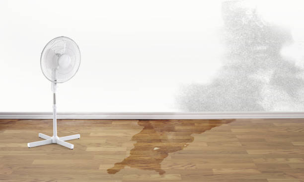 Best Sewage cleanup and water damage restoration  in Clarcona, FL
