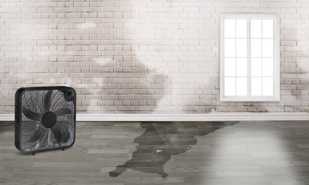 Best Commercial water damage restoration  in Clarcona, FL
