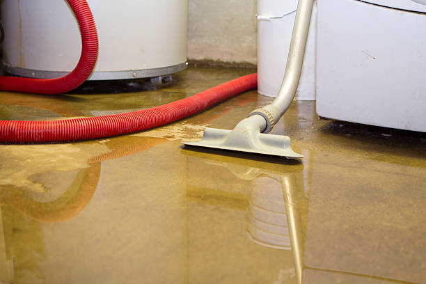 Best Water damage cleanup near me  in Clarcona, FL