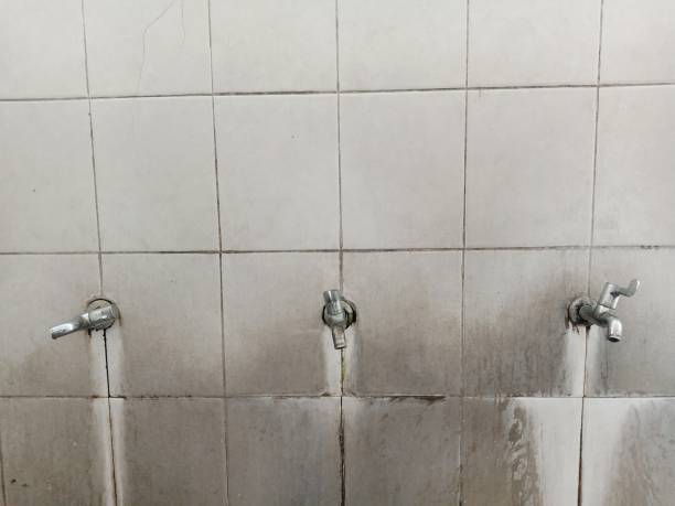 Best Water damage restoration near me  in Clarcona, FL