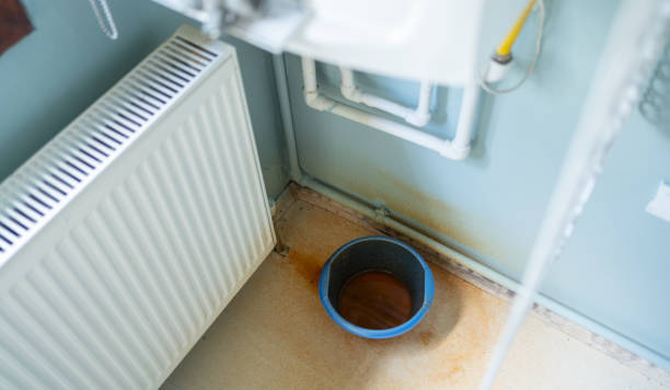 Best Carpet water damage restoration  in Clarcona, FL