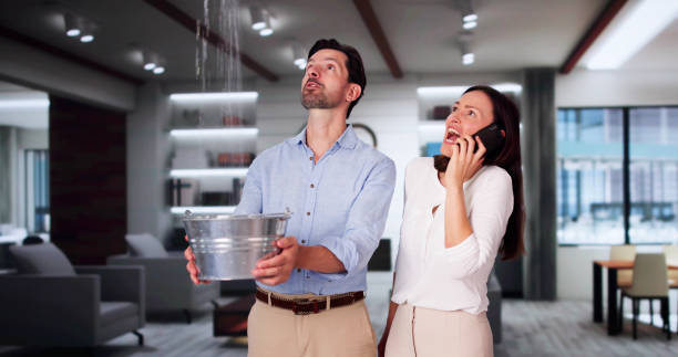 Best Mold removal after water damage  in Clarcona, FL